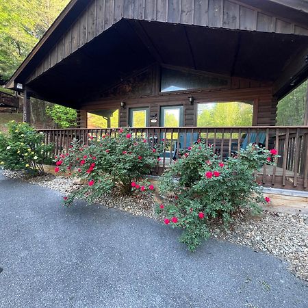 Beary Tale! Your Happily Ever After Starts Here! Sevierville Exteriör bild