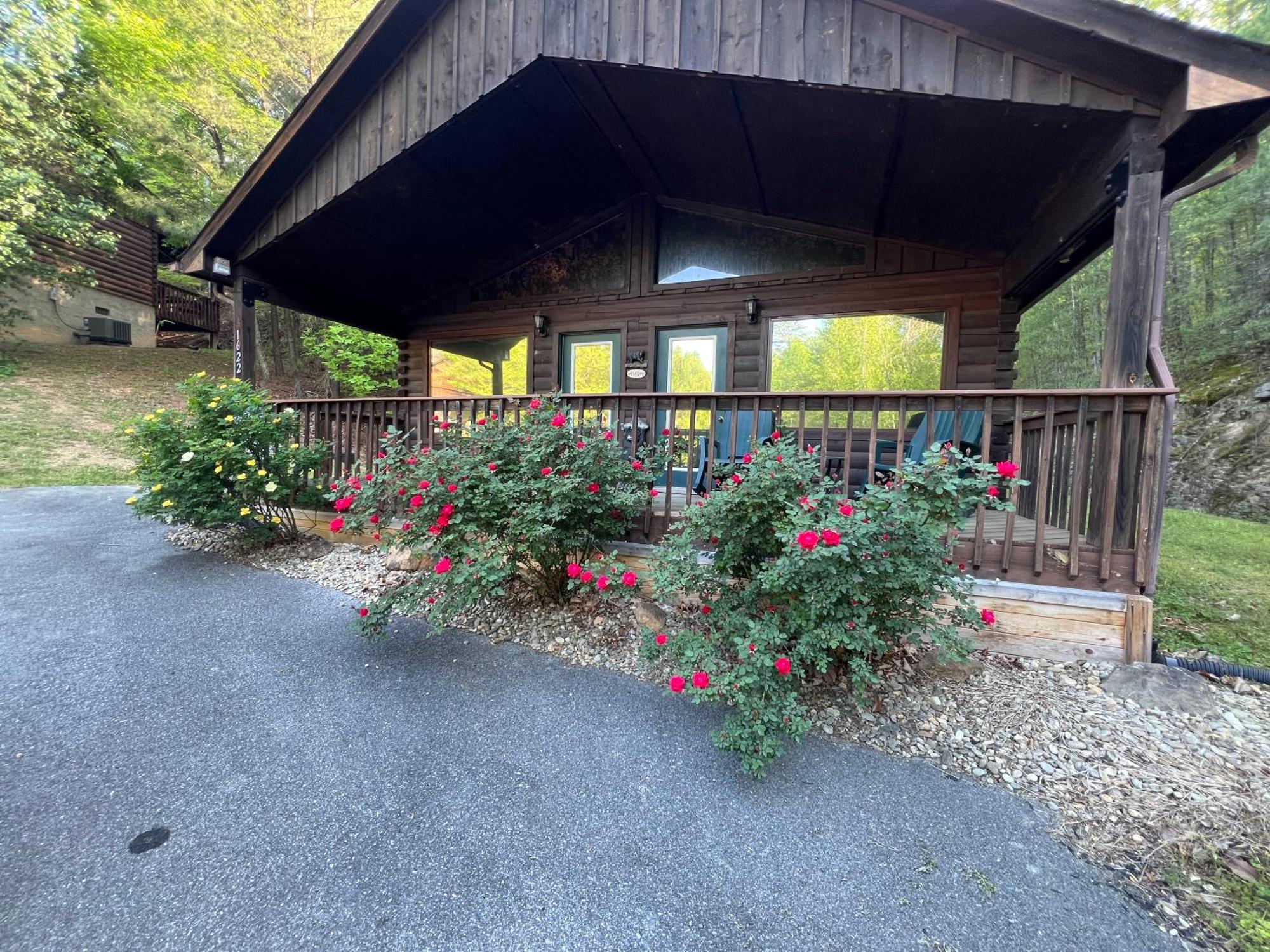 Beary Tale! Your Happily Ever After Starts Here! Sevierville Exteriör bild